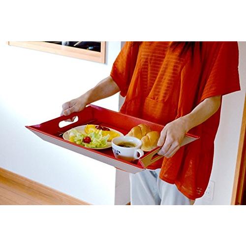 Exelux Free Form Tray S Size Brown/Ivory Tdff-Briv3-S Hold Tray, Place Mat Super