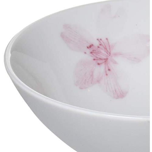 Ale-Net Rice Bowl, Cherry Blossom Printed Nakahira, Set Of 5