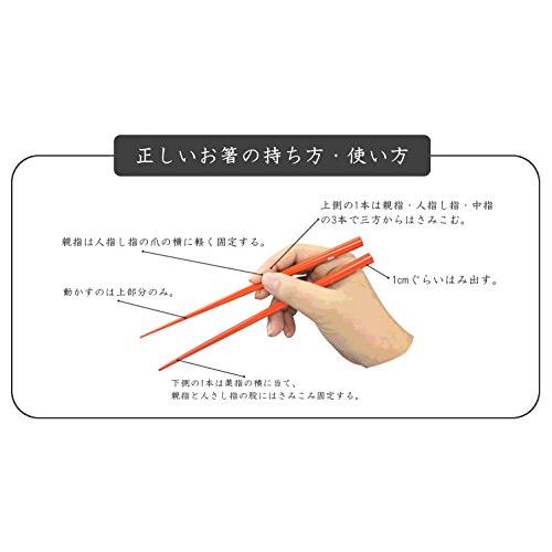 Isso Japanese made chopsticks Fuju Sumi 23cm