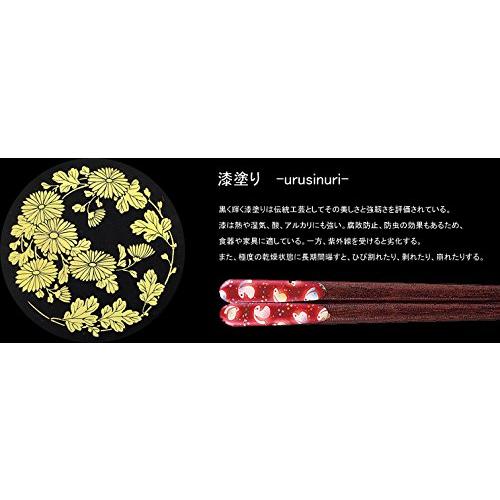 Issou Chopsticks Lacquer Painted Himeu (Himeu) Made in Japan Wooden (Natural Wood) Anti-Slip Treatment 23cm