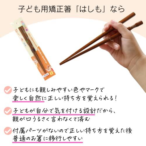 FlaColle Hashimo Jr. [Learn how to hold chopsticks naturally] Corrective chopsticks, right-handed, 15cm, chopsticks practice, infants, children [3-4 years old, height 100-110]