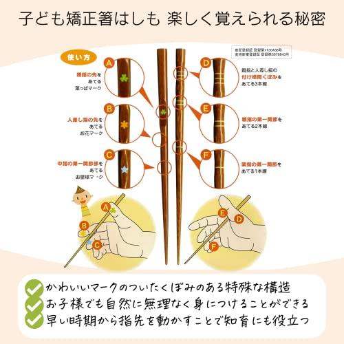 FlaColle Hashimo Jr. [Learn how to hold chopsticks naturally] Corrective chopsticks, right-handed, 15cm, chopsticks practice, infants, children [3-4 years old, height 100-110]