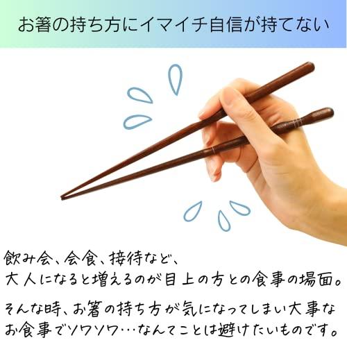 FlaColle Hashimo [Learn how to hold chopsticks naturally] Adult correction chopsticks Chopsticks practice [Correct correction without parts] (Right-handed 23cm)