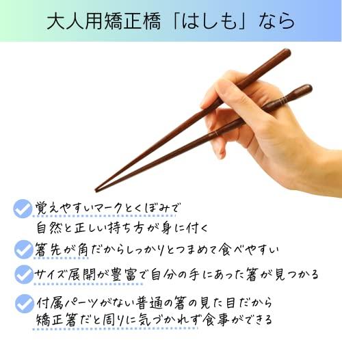 FlaColle Hashimo [Learn how to hold chopsticks naturally] Adult correction chopsticks Chopsticks practice [Correct correction without parts] (Right-handed 23cm)