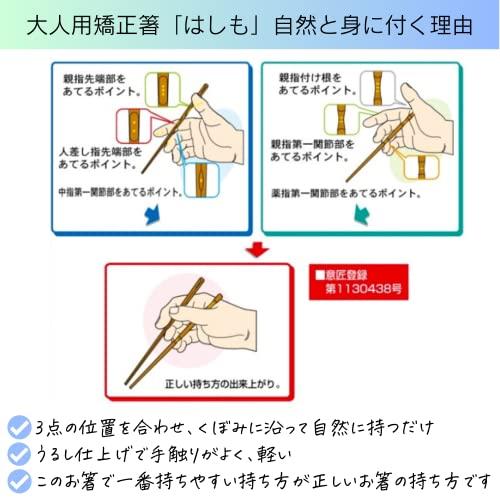 FlaColle Hashimo [Learn how to hold chopsticks naturally] Adult correction chopsticks Chopsticks practice [Correct correction without parts] (Right-handed 23cm)